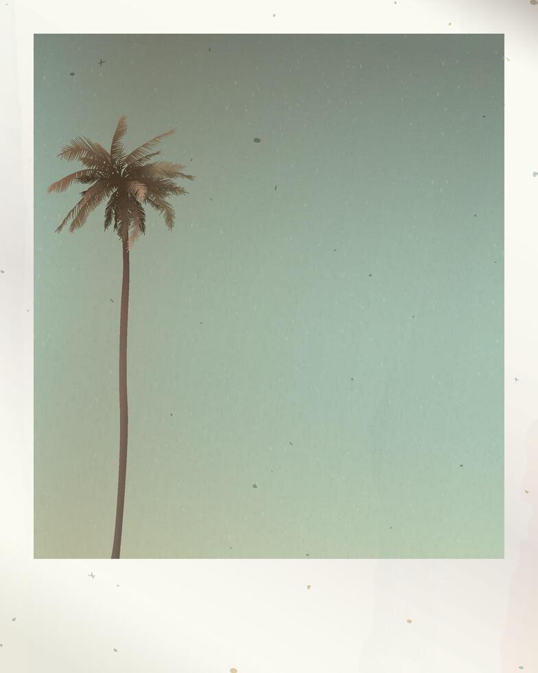 Old polaroid photo of lonely coconut palm tree and sky background with stained effect graphic illustration have blank space. vector
