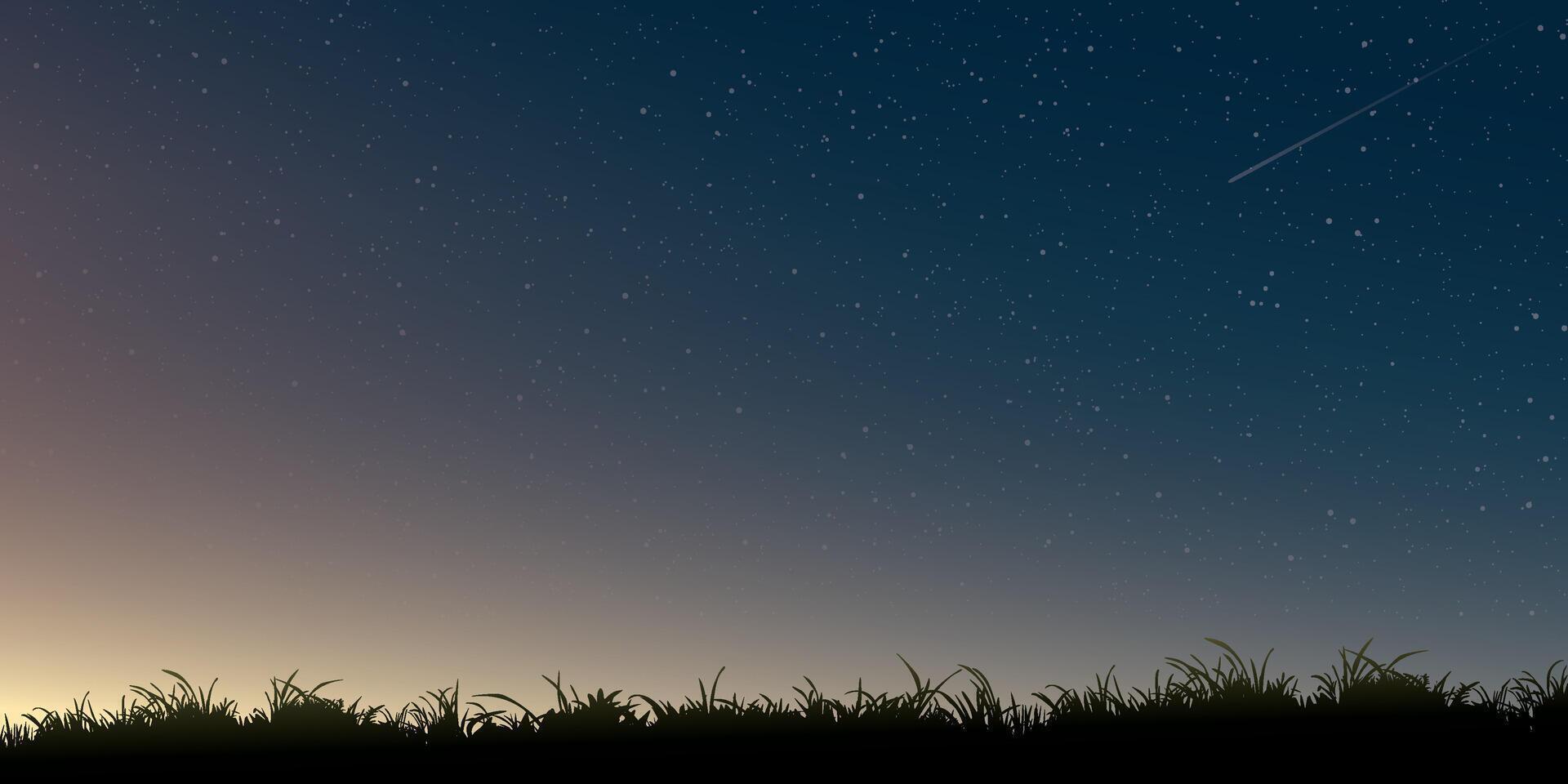 Silhouette grass field landscape at night with a lot of star and meteor background graphic illustration have blank space. vector