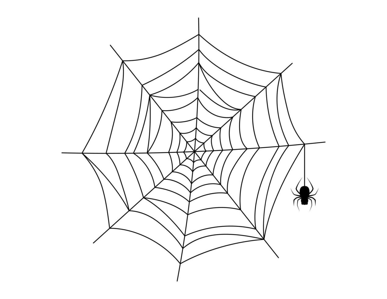 spider web illustration, halloween spiderweb and spider hanging vector