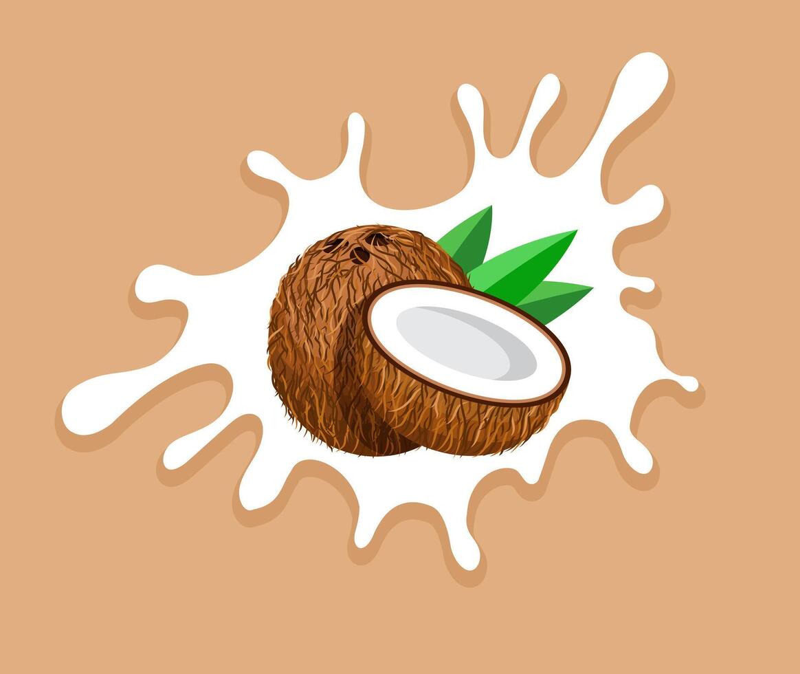 Coconut, Coconut and a Milk Splash, Half Coconut vector