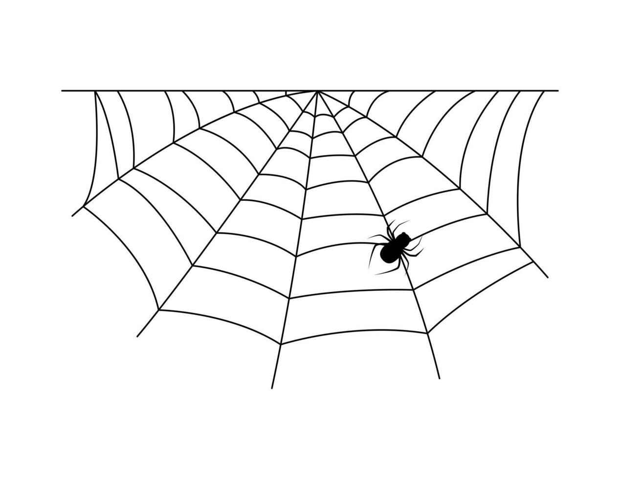 spider web silhouette, halloween spiderweb and spider hanging vector