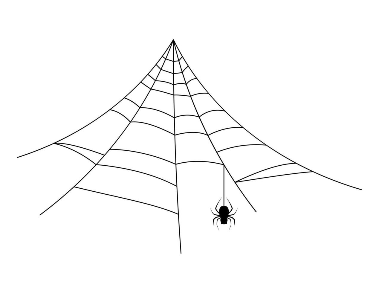 spider web line, halloween spiderweb and spider hanging vector