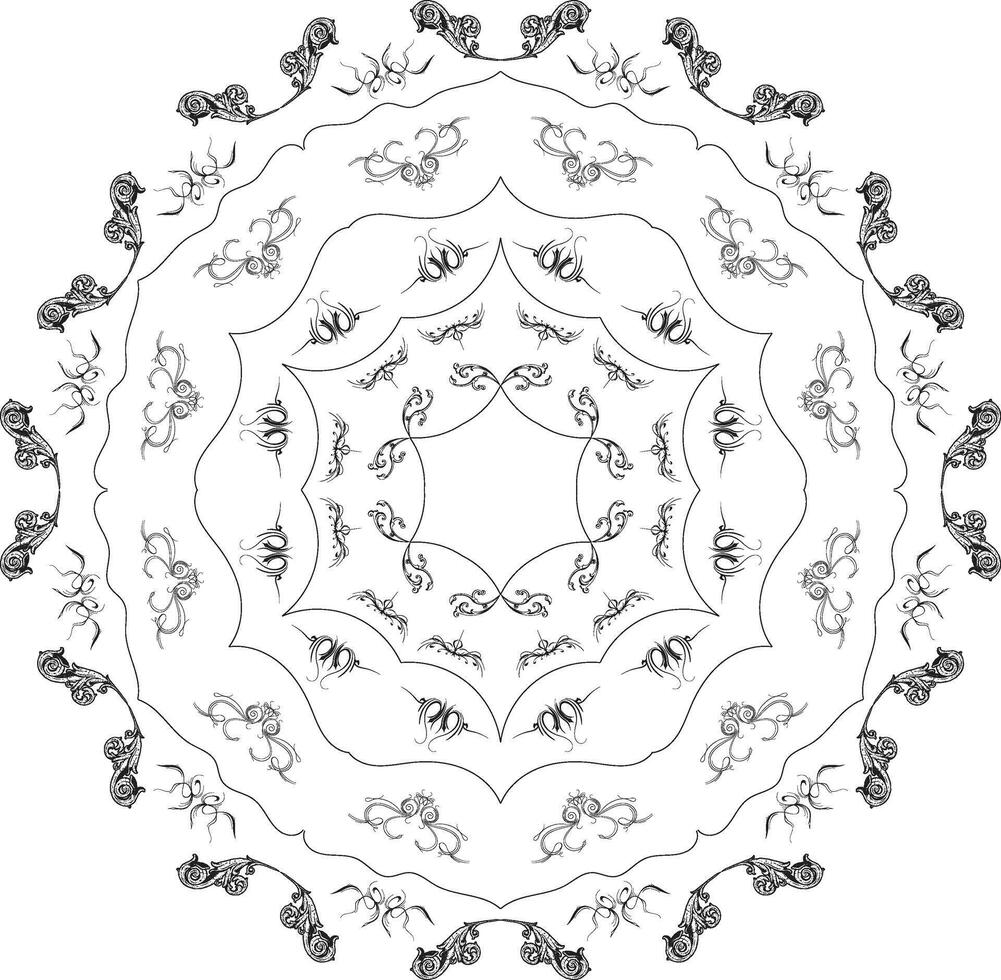 A circular design with flowers and leaves Mandala Art vector