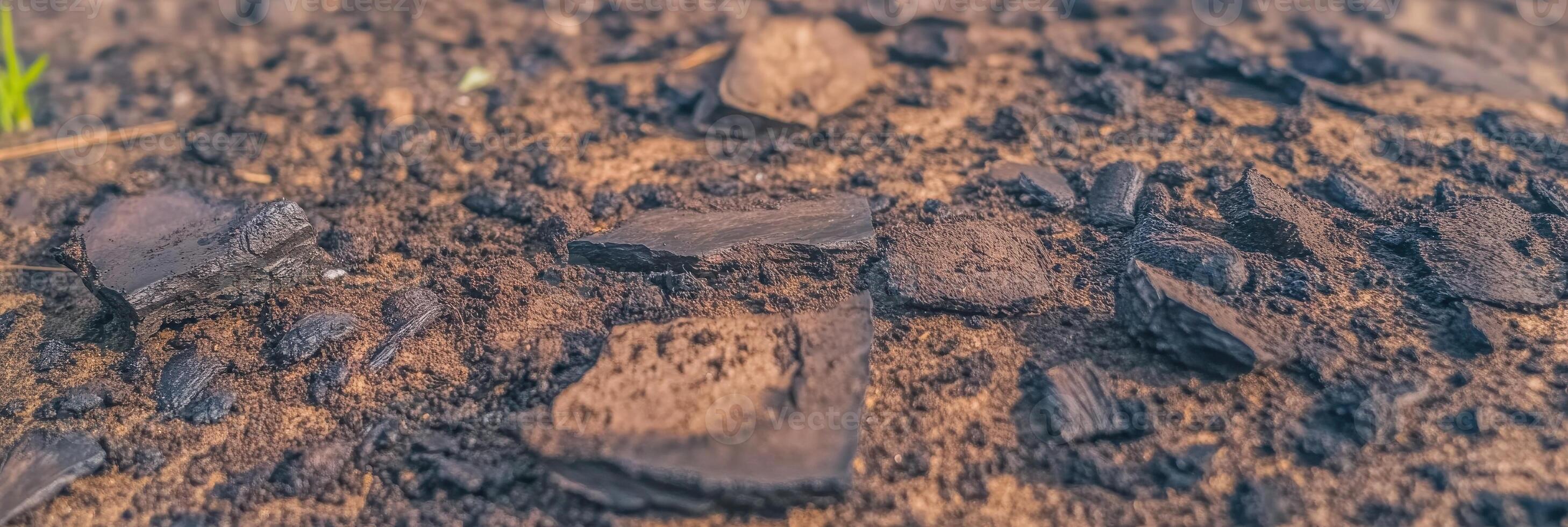 Close-up of charred wood and ashes scattered on brown earth surface photo