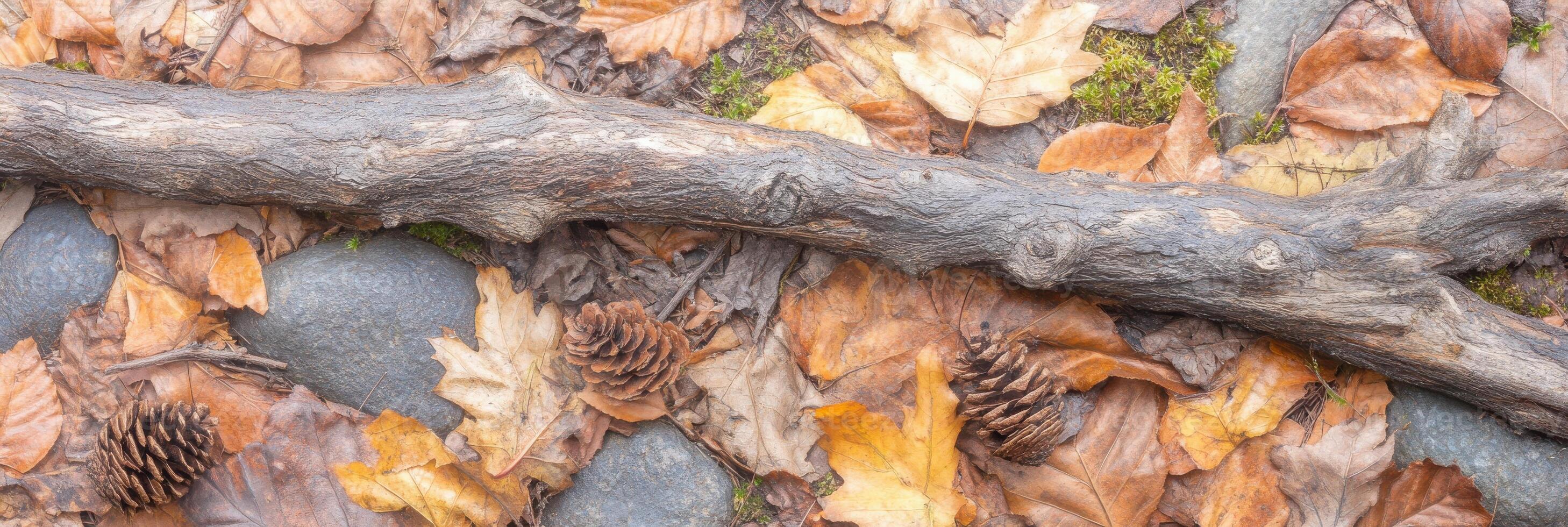 Autumn forest floor with fallen leaves, pinecones, stones, and a wooden branch photo