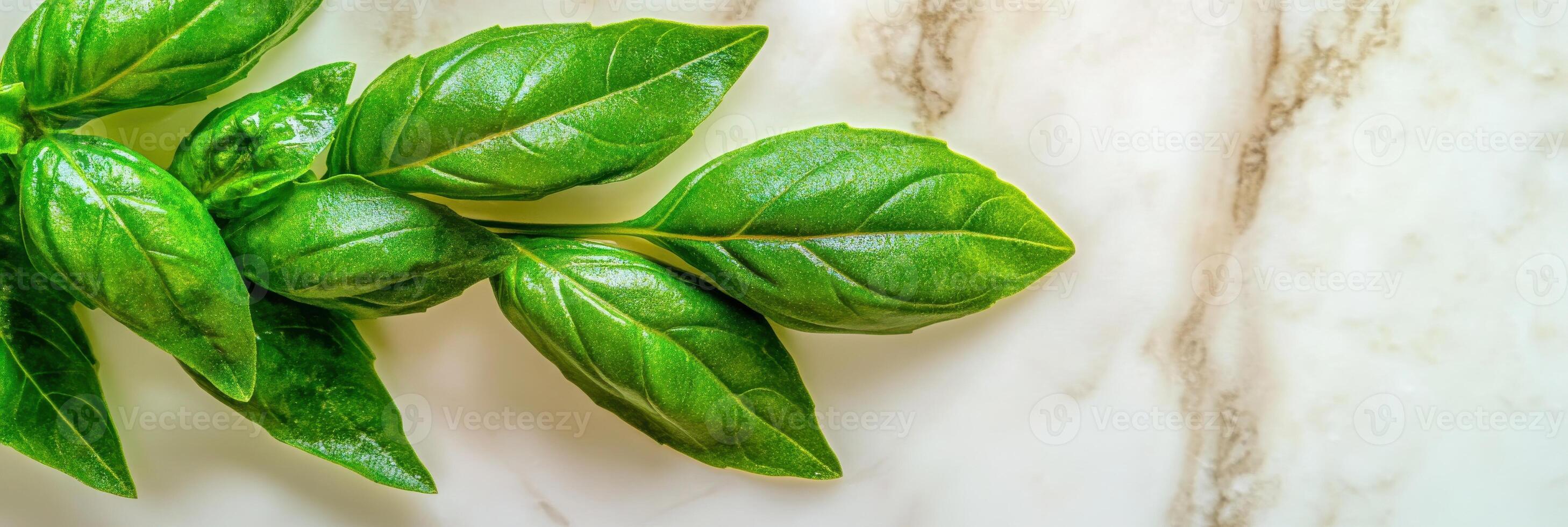 Fresh green basil leaves on marble kitchen countertop for culinary use photo
