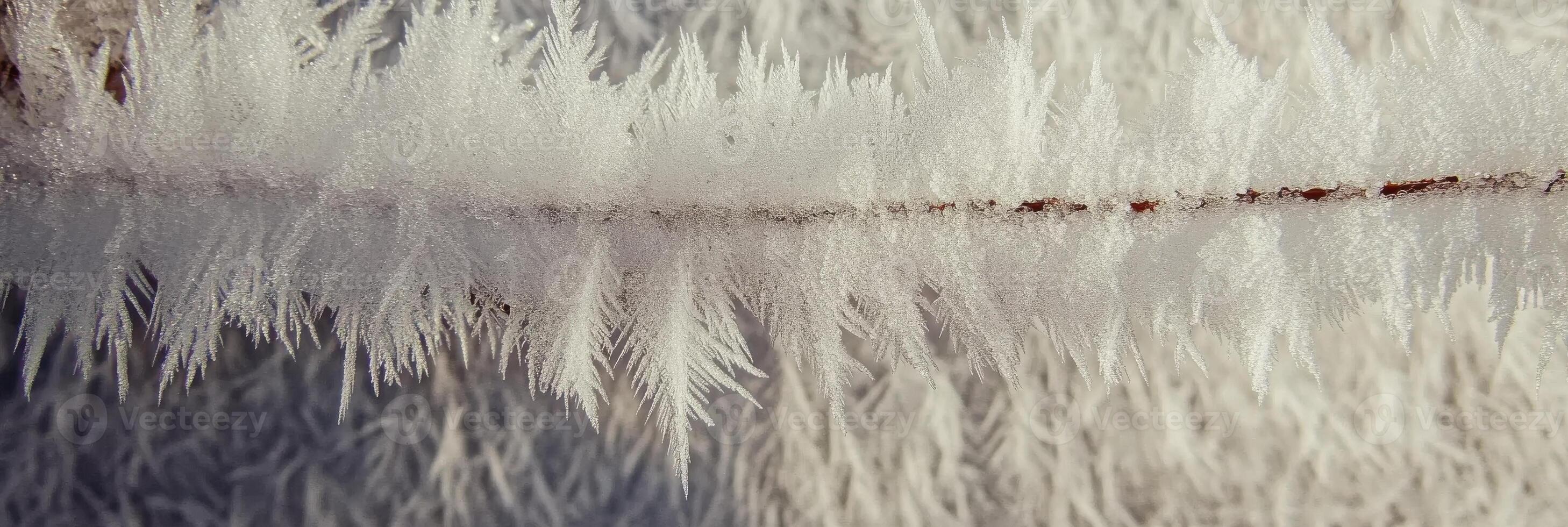 Close-up view of frost-covered branch with intricate ice crystals photo