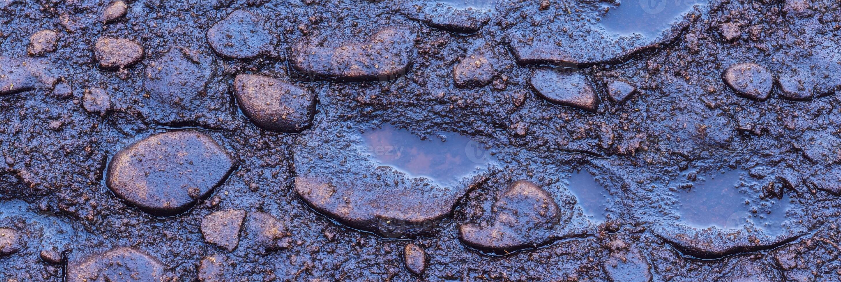 Wet muddy ground with scattered rocks and puddles in natural outdoor setting photo