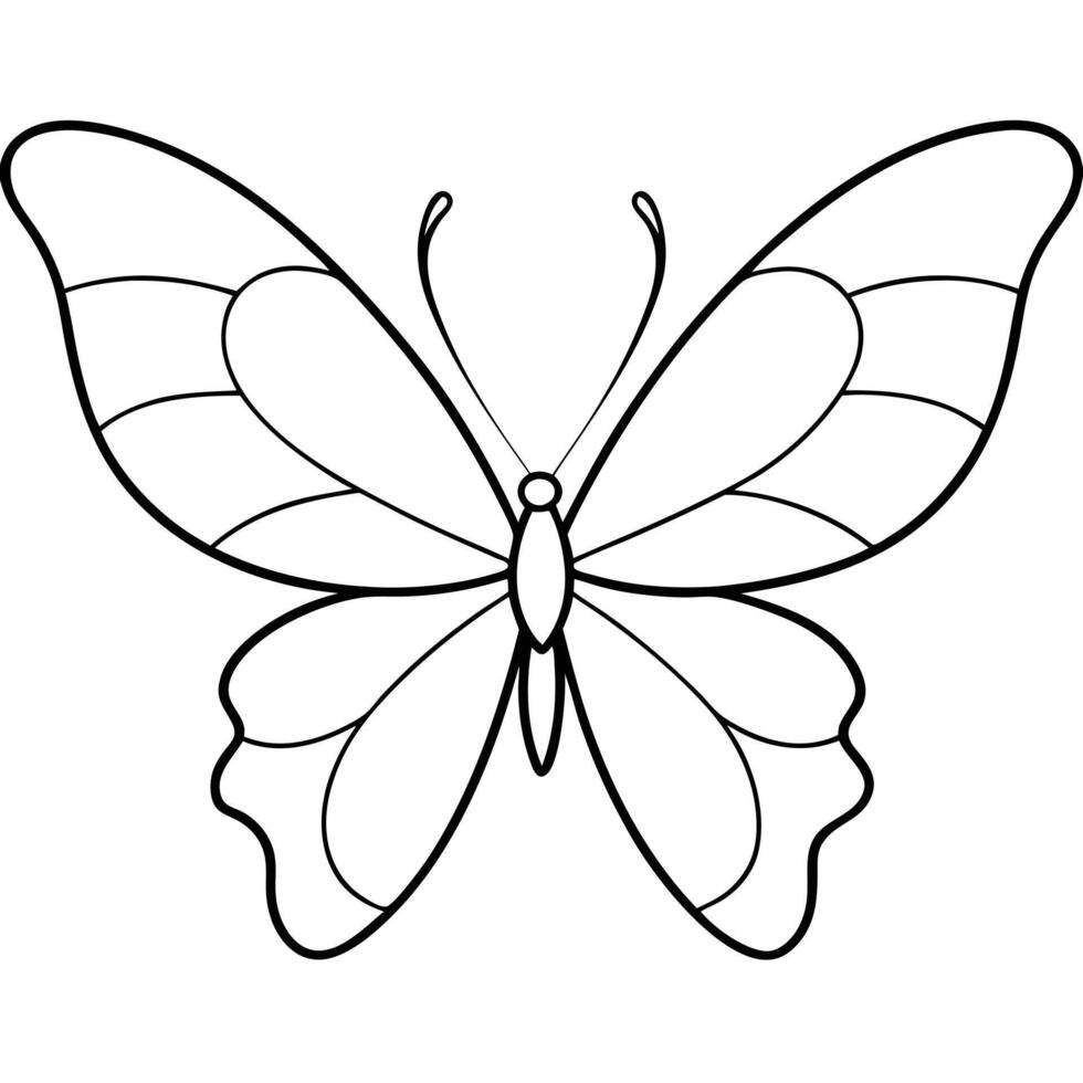 Butterfly with Detailed Wings and Antennae Outlines vector