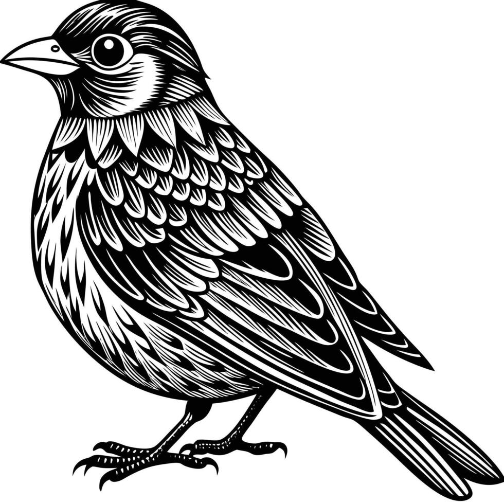 Bird in Woodcut Style vector