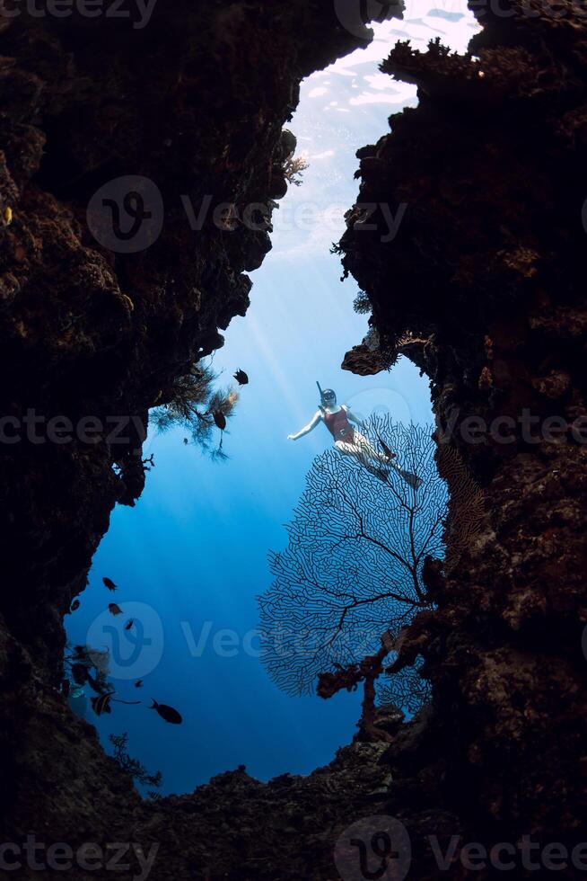 Woman freediver swimming in underwater cave in Menjangan island photo