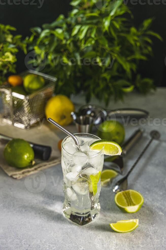 Gin and tonic cocktail being prepared with reusable metal straw, ice cubes, and lime slices, surrounded by bartender tools and fresh ingredients photo