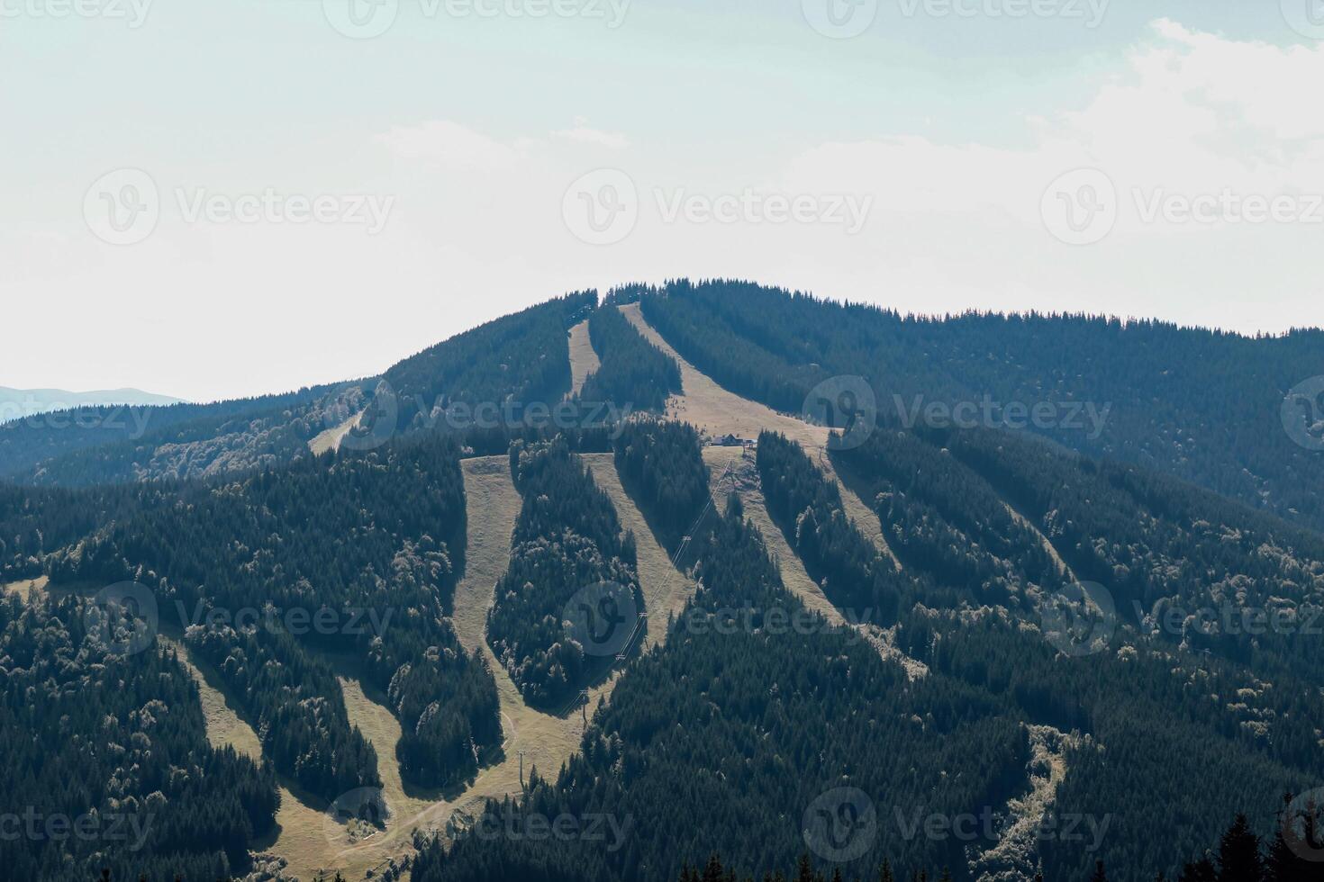 Mountain landscape with vegetation on the background of foggy fo photo