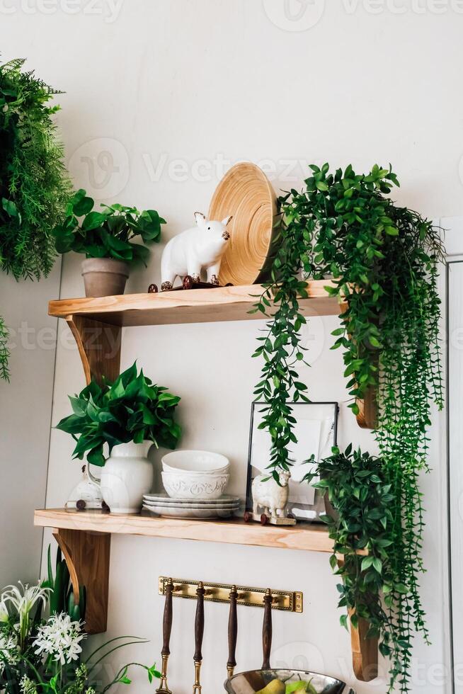 Decorative wooden shelves adorned with plants and pottery in a cozy interior setting photo