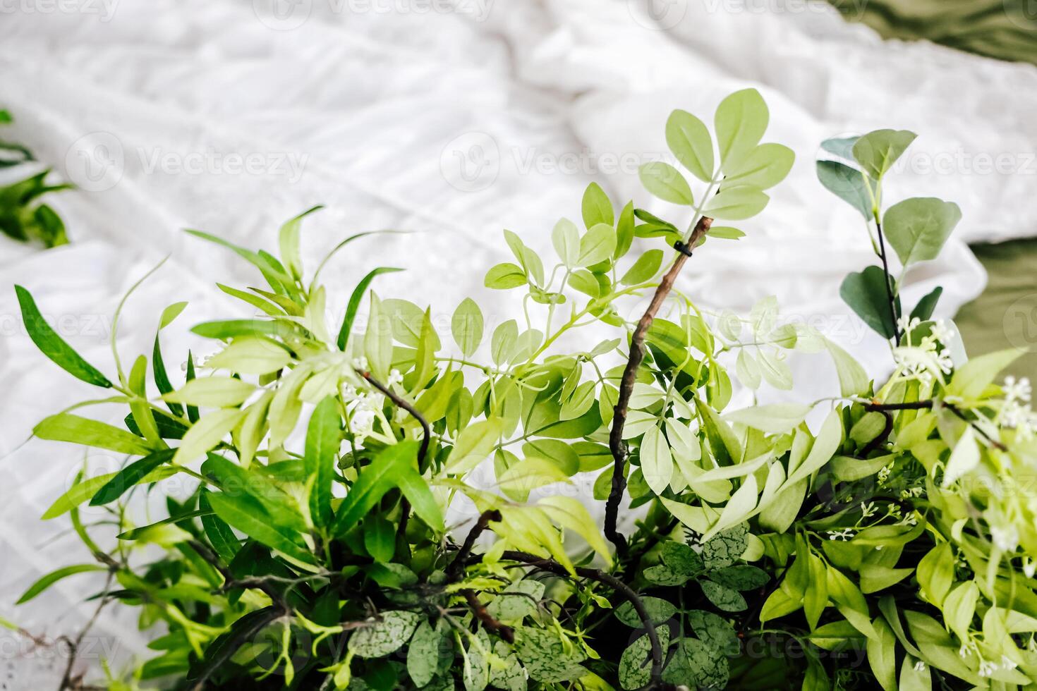 Green foliage arrangement on a textured surface in a bright indoor location photo