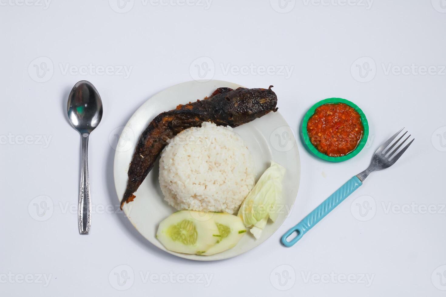 A plate with rice, fish and cucumber on it photo