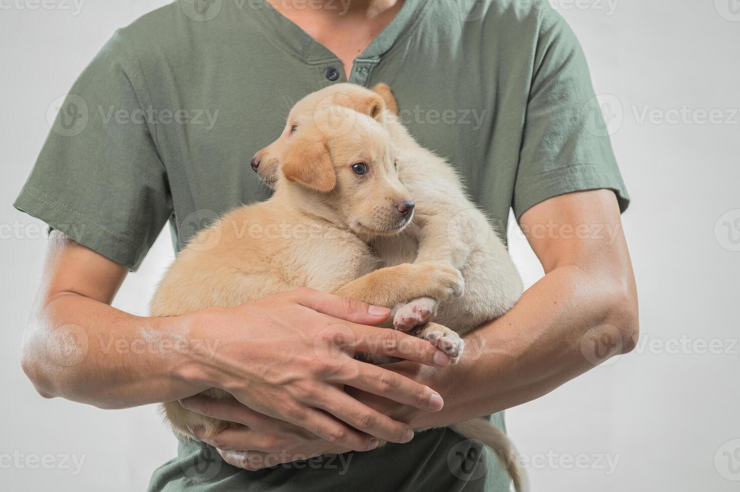 Tender Moment with Two Adorable Puppies in Human Embrace photo