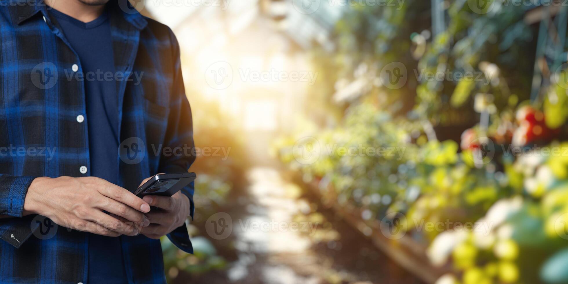 Technology and Business Connection in a Modern Greenhouse Environment photo