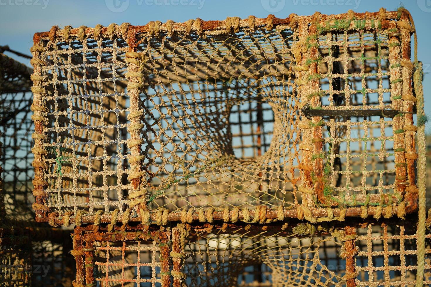 Lobster traps stacked at dock in coastal harbor photo