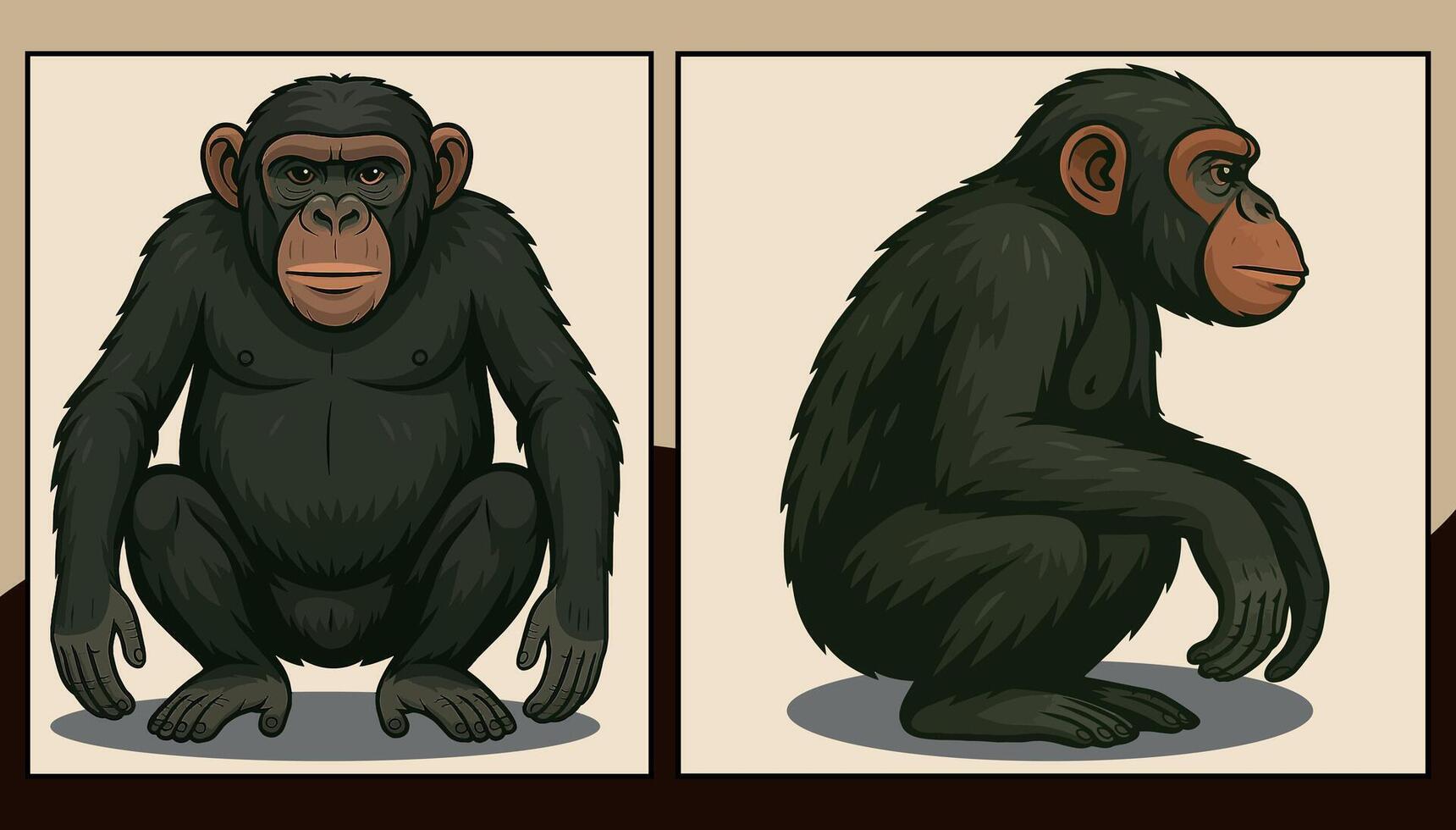 Chimpanzee front and side view illustration vector