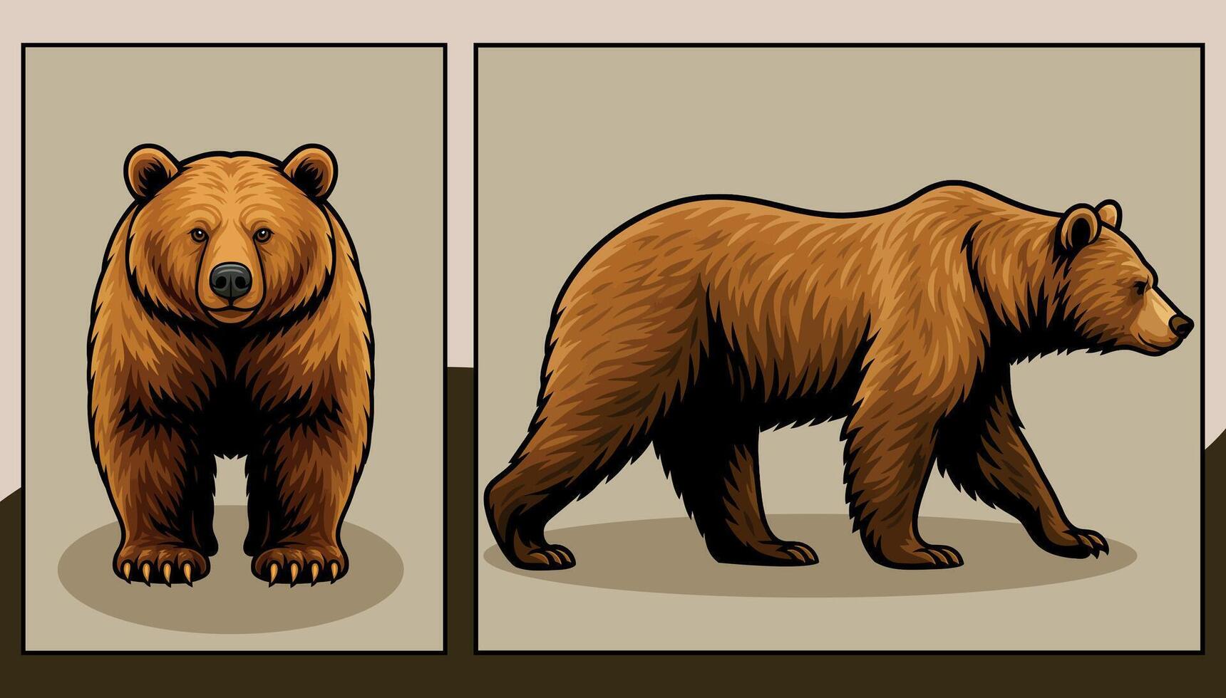 Bear front and side view cartoon illustration vector
