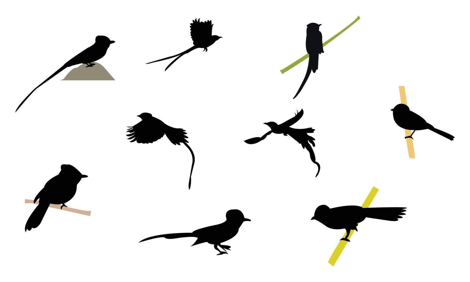 African paradise flycatcher bird Silhouette Collection vector