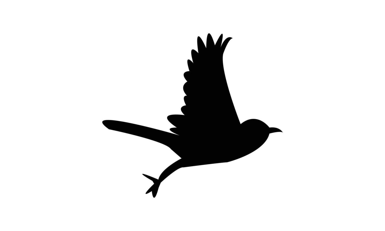 Flying African pied wagtail bird Silhouette Design vector