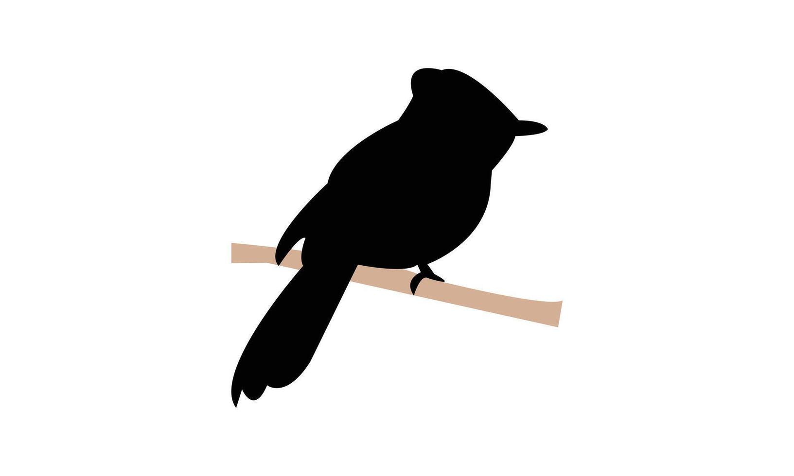 African paradise flycatcher bird Silhouette Design And Illustration. vector