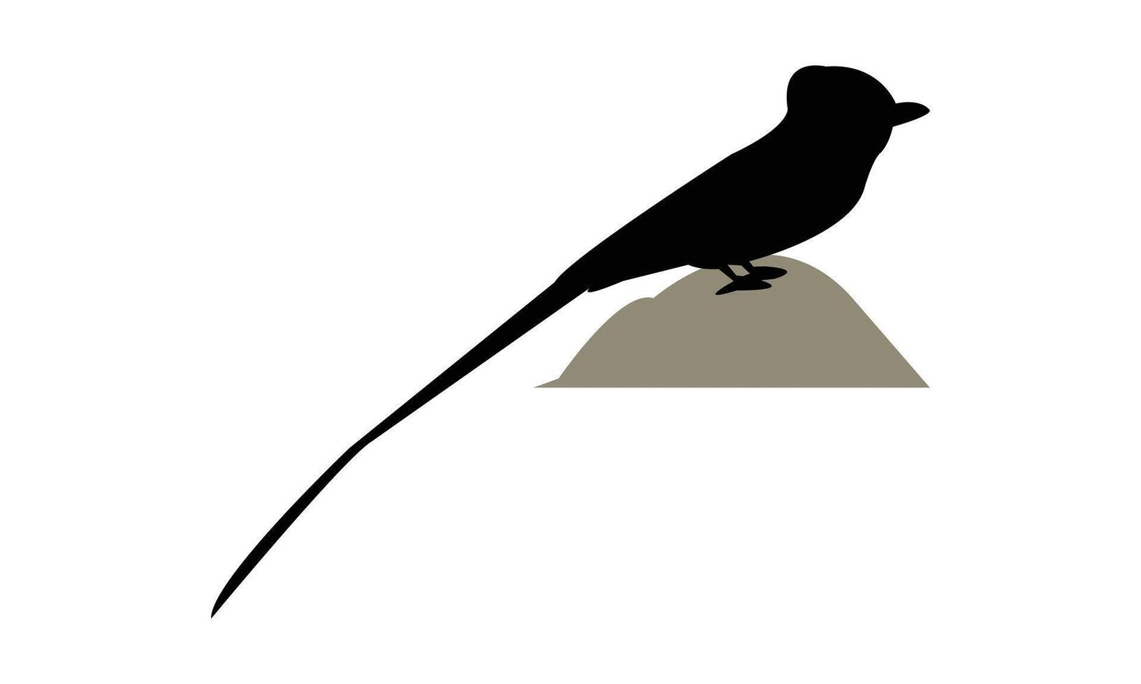 African paradise flycatcher bird Silhouette Design vector