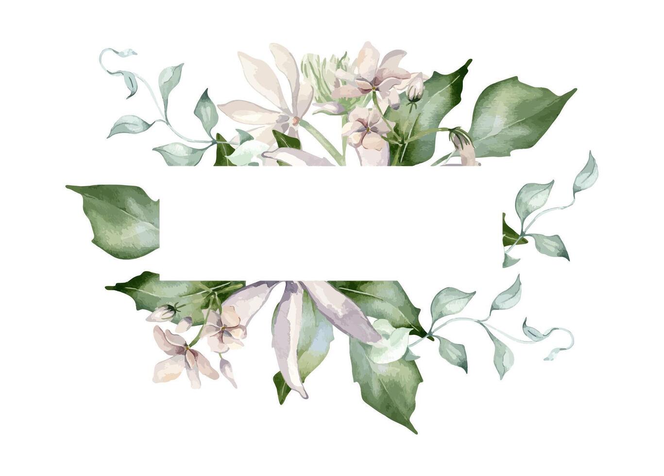 Jasmine blooms in watercolor floral border isolated. Soft pink flower frame botanical style hand drawn. Flowers of jasmine, curvy vine and leaves painted for design label, package, invitation. vector