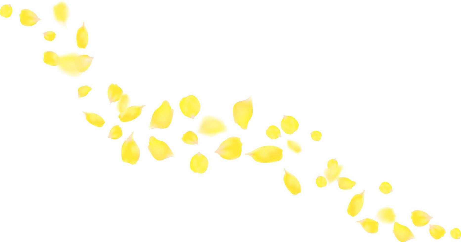 Realistic rose petals yellow color flying together romantic season, friend and congratulations vector