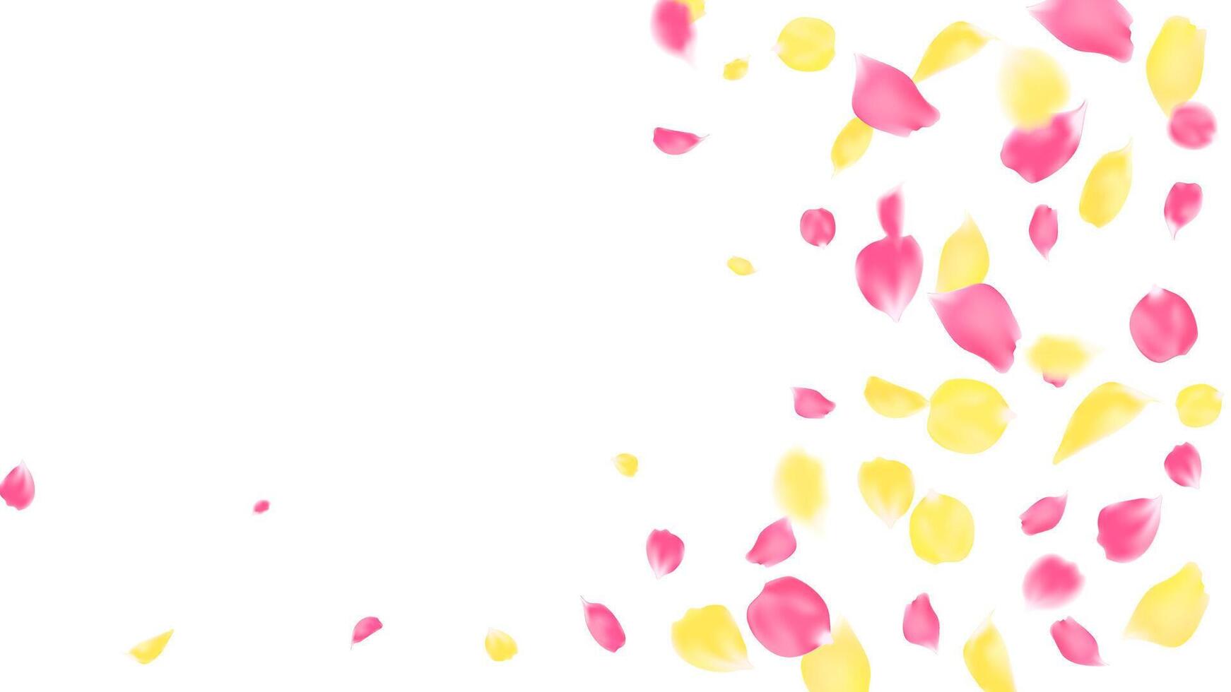 Rose petals pink and yellow color background. beautiful floral love season, greeting card vector