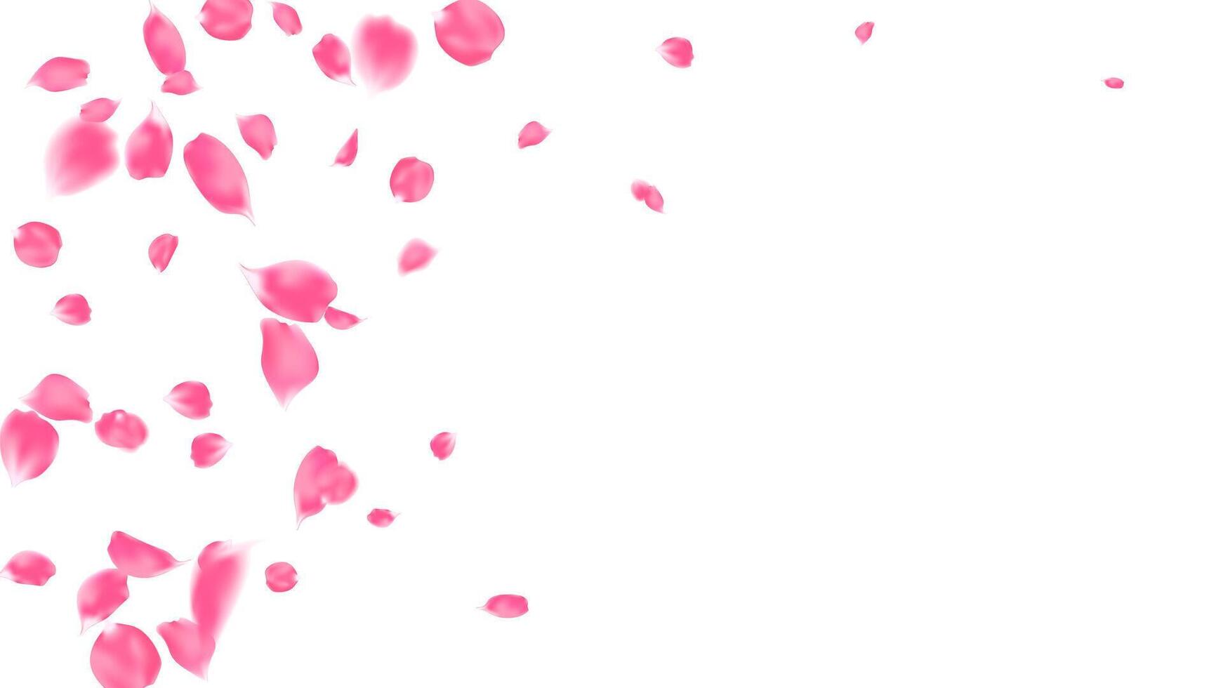 Romantic event background with realistic pink rose petals floating motion . floral wedding invitation, Valentine or Mother day card vector