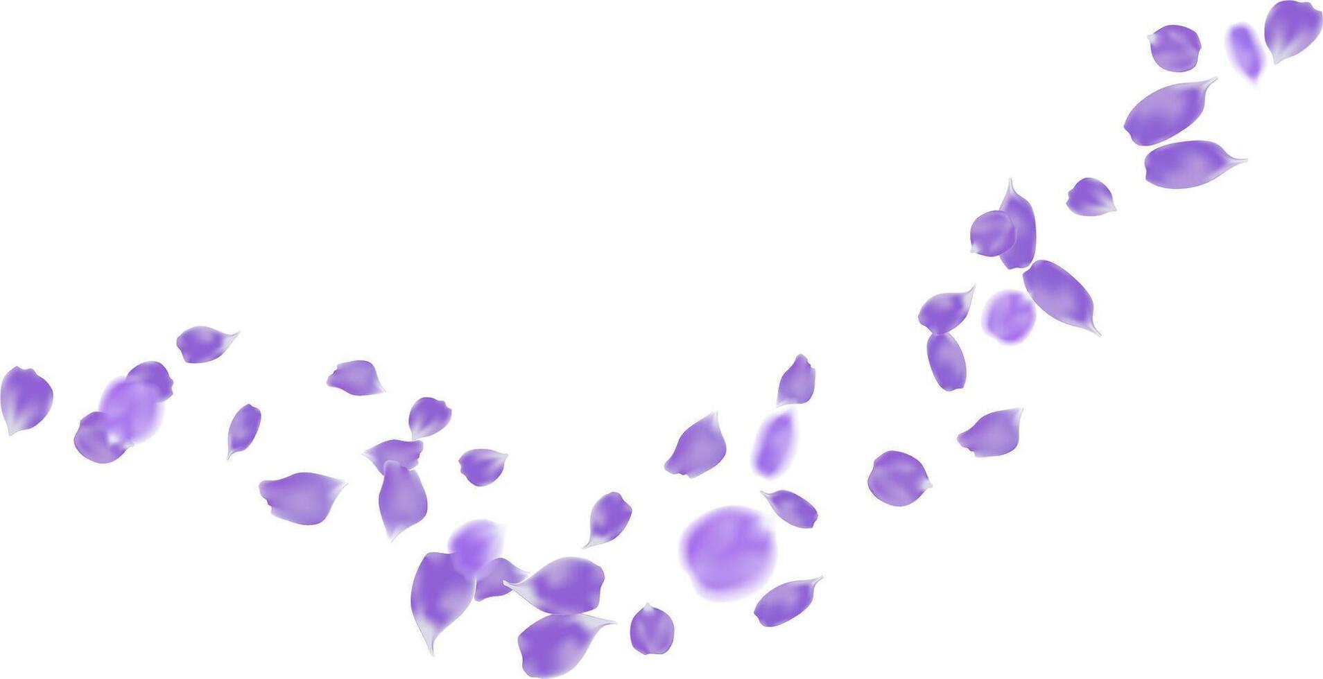 Floating purple rose petals isolated concept for love greetings on valentine's day and mother's day vector