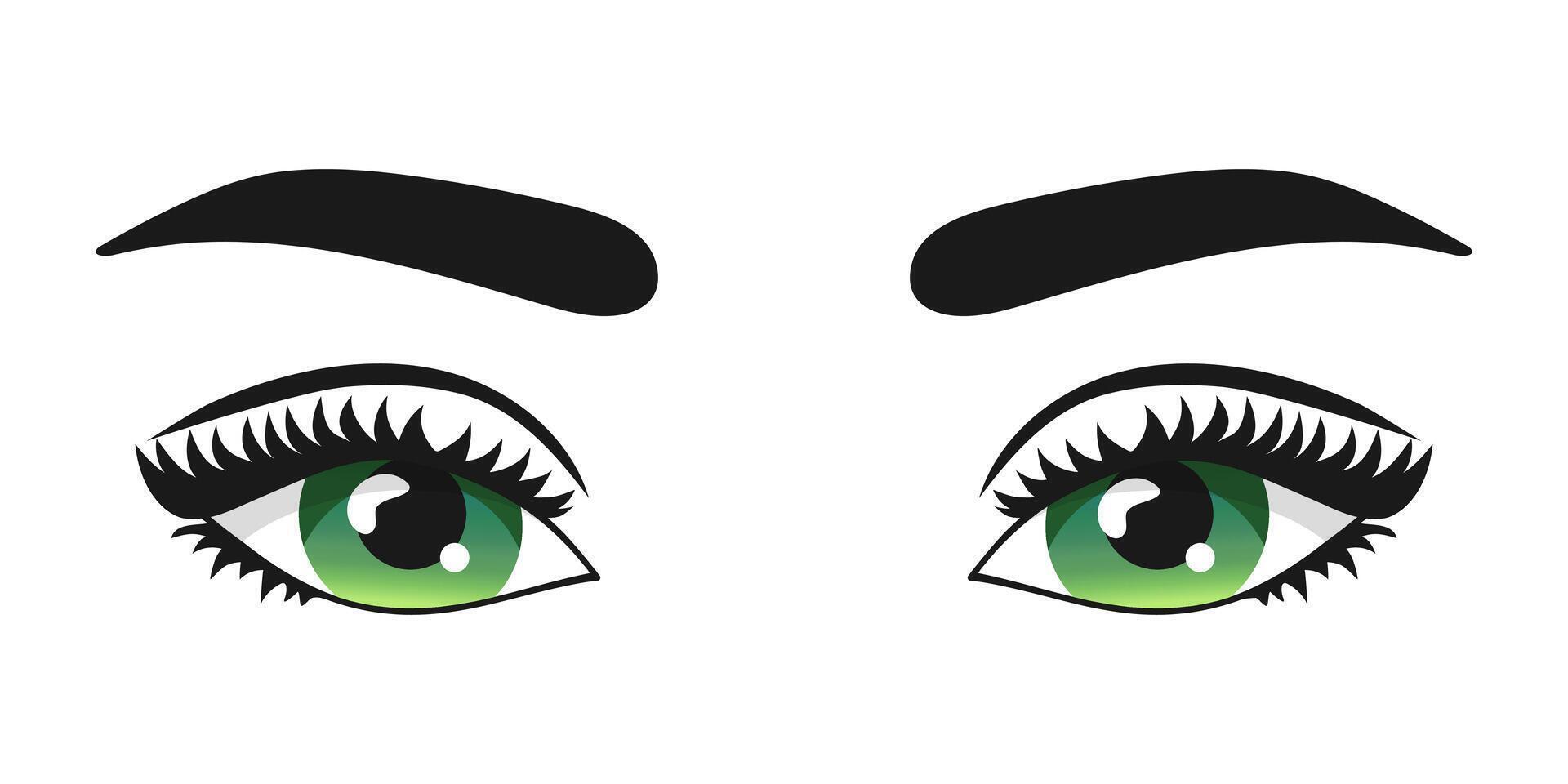 Beautiful green woman eyes with curled lashes and eyebrows isolated on white background vector