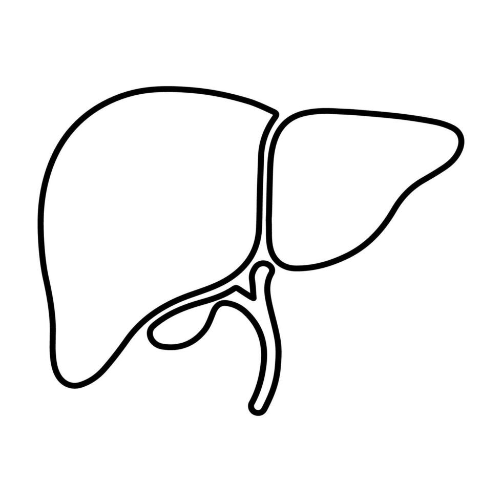 Minimalist black liver icon, gallbladder included, anatomy, healthcare, symbol vector