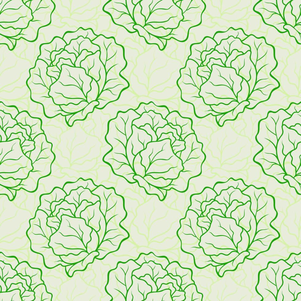 Pattern with heads of green salad lettuce, contour graphic fruit. Healthy food. Eco products. Green vegetables. vector