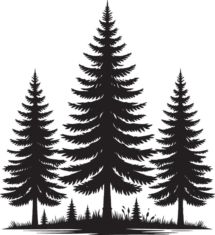 Pine trees silhouette vector
