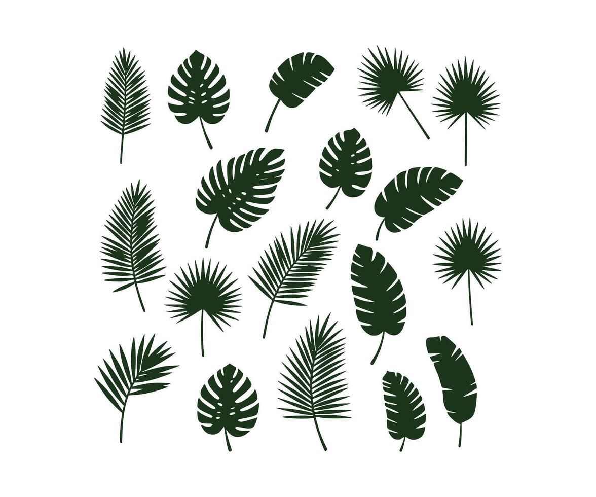 Tropical leaf collection, including silhouettes of palm leaves, all isolated on a white surface. vector