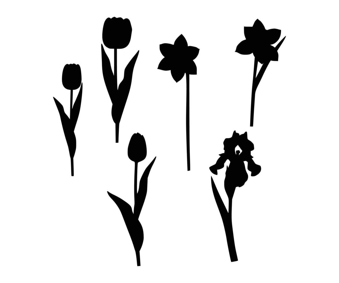 Black shapes of springtime flowers such as tulips, narcissus, and irises, standing out on a white surface. vector