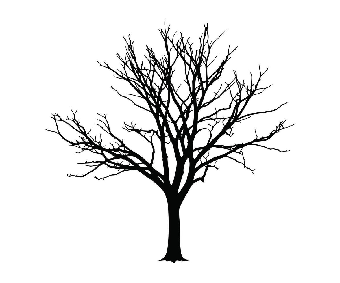 An illustration that captures the shape of a dead tree. It portrays trees and their leafless branches. vector