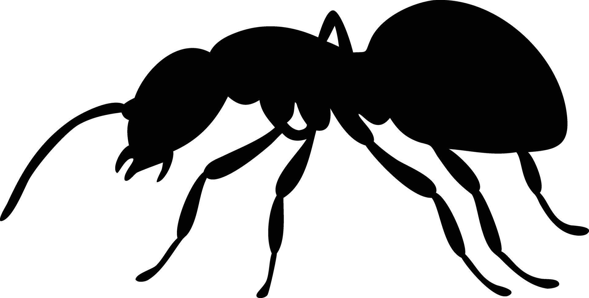 Silhouette of an Ant with Detailed Legs , Insect vector