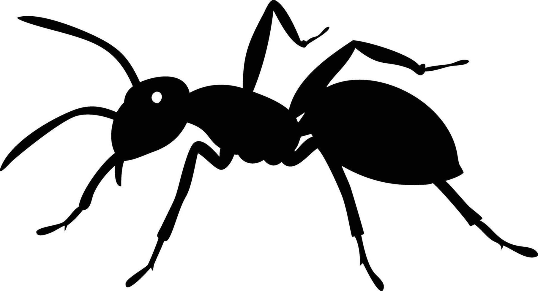 Detailed Ant Insect Silhouette vector