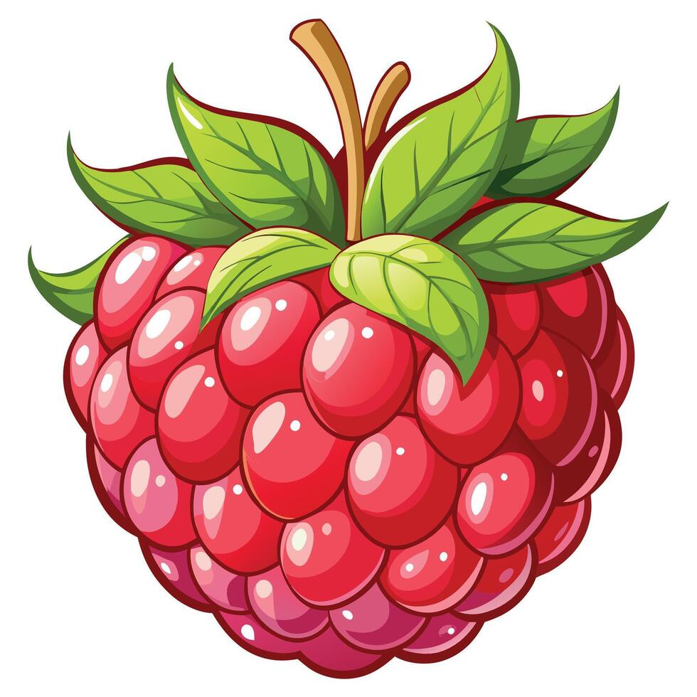 Detailed Raspberry with Leaves vector