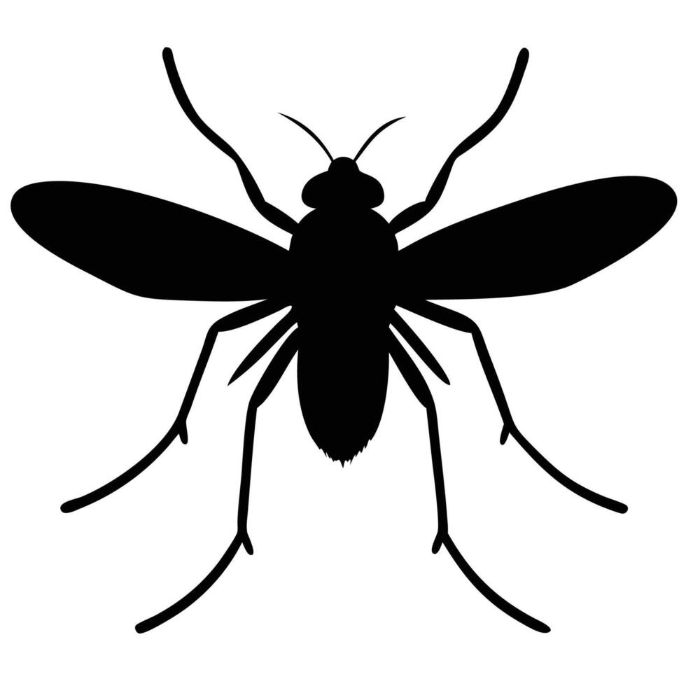Mosquito Silhouette - Black and White vector