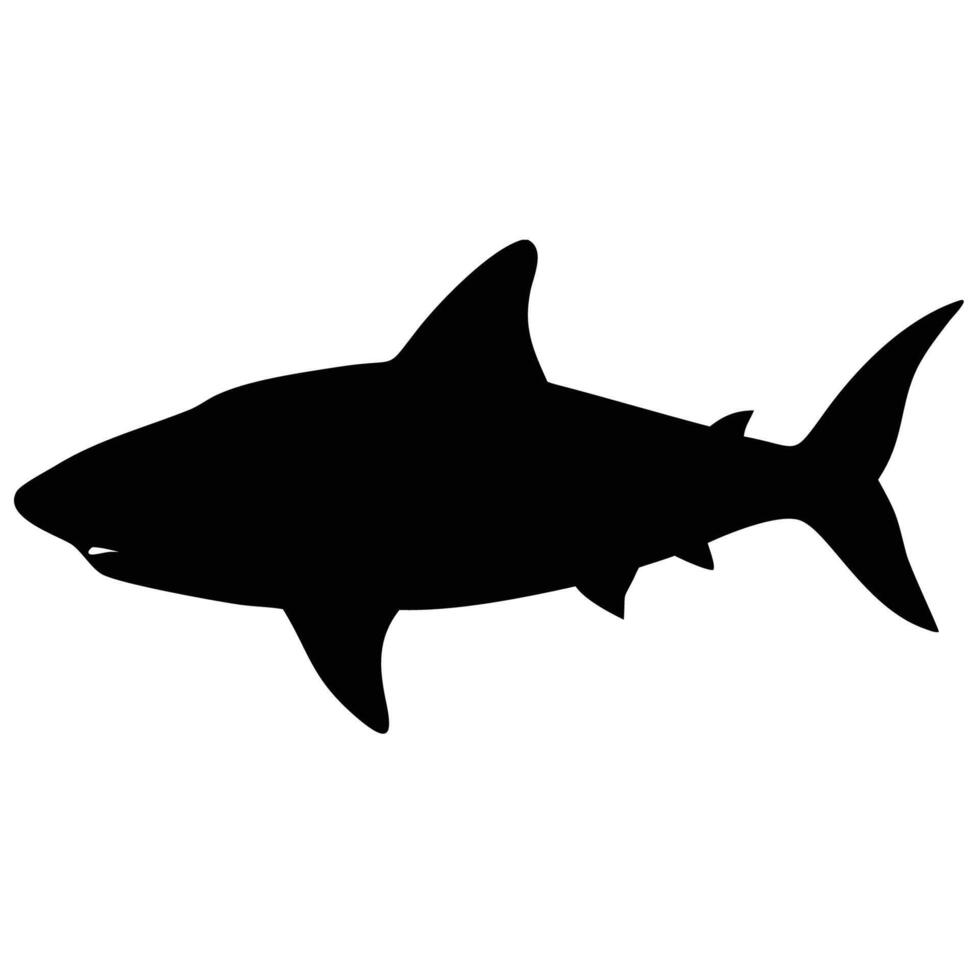 Shark Silhouette - Black and White Ocean Predator vector