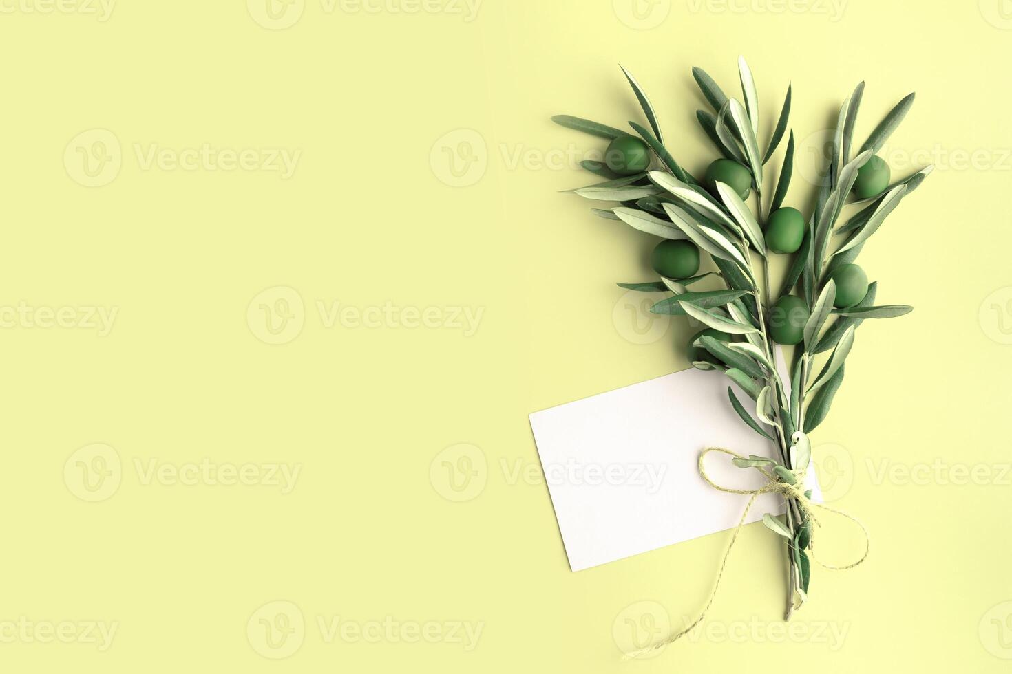 Banner of olive branch with blank card on pale yellow background with copy space. photo
