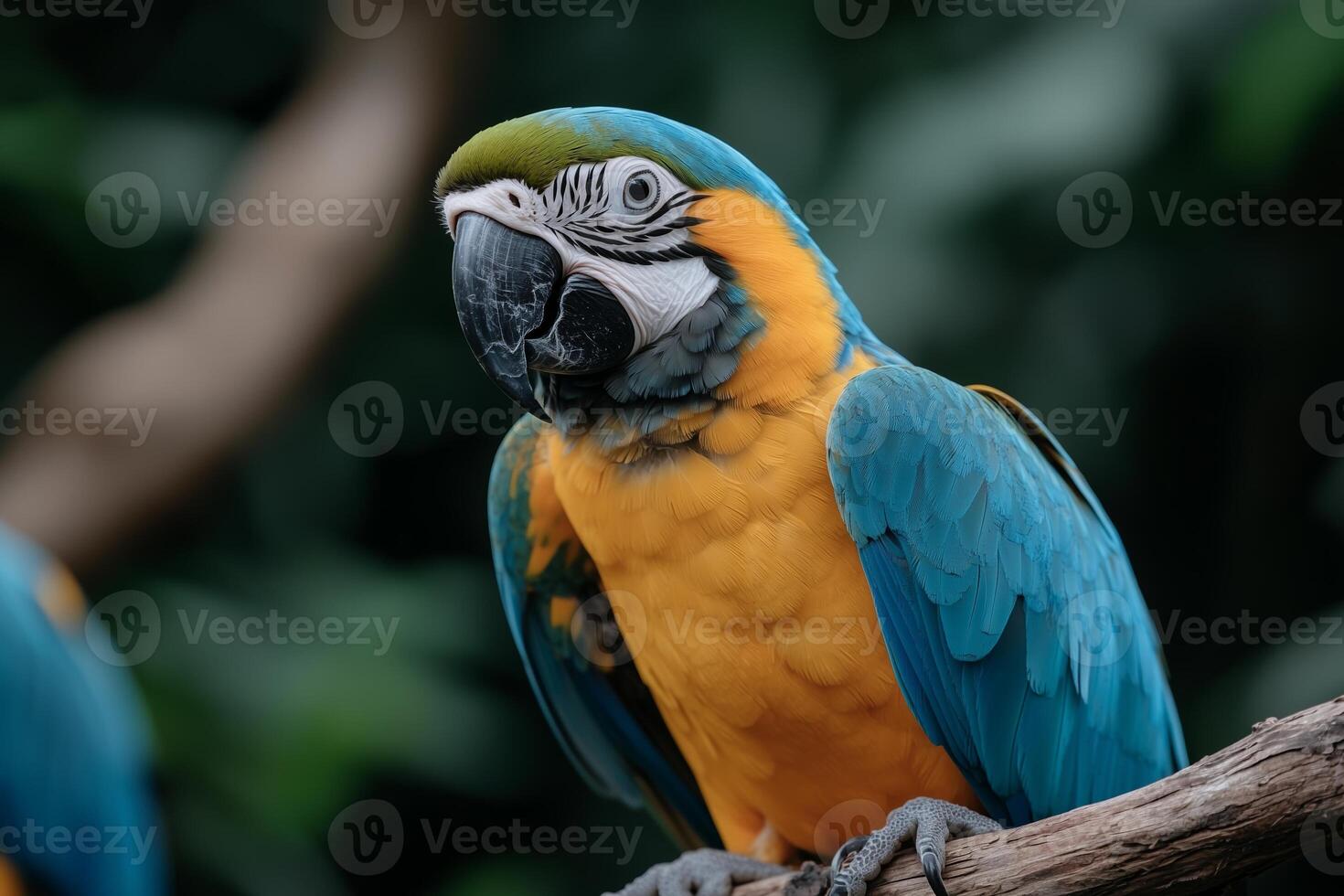 Vibrant blue and yellow macaw perched on branch in lush greenery. photo