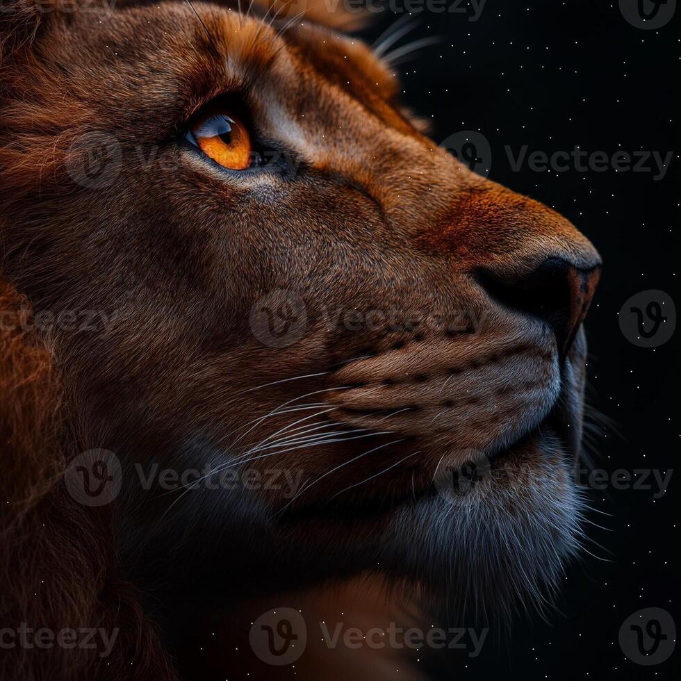 photograph of a lion's face in profile, with a focus on its eye, against a dark background with scattered white dots resembling stars. photo