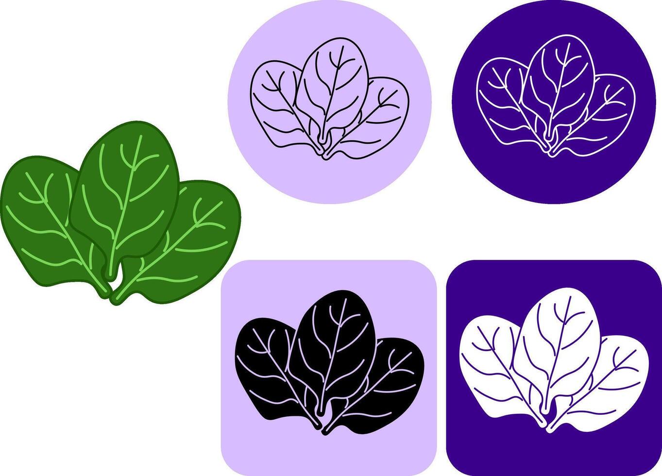 spinach three leaves logo. flat line icon linear logo mark in black and white. illustration for package, kitchen design, fabric and textile. Eat green vector